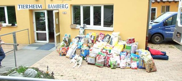 Autotuner sammelten Spenden für das Tierheim