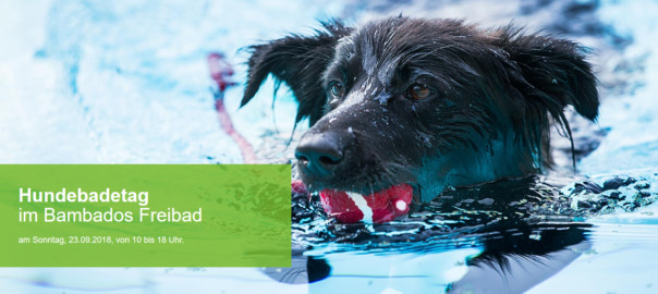 Hundebadetag im Bambados Freibad