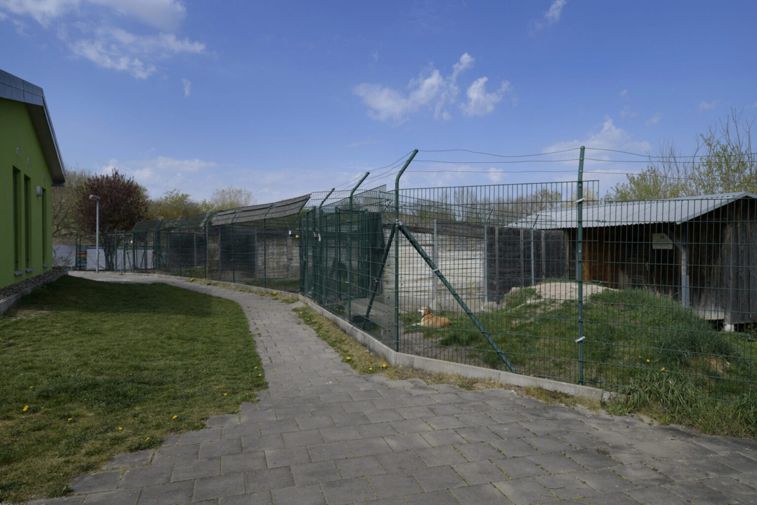 Hundehaus Tierschutzverein Bamberg e.V.