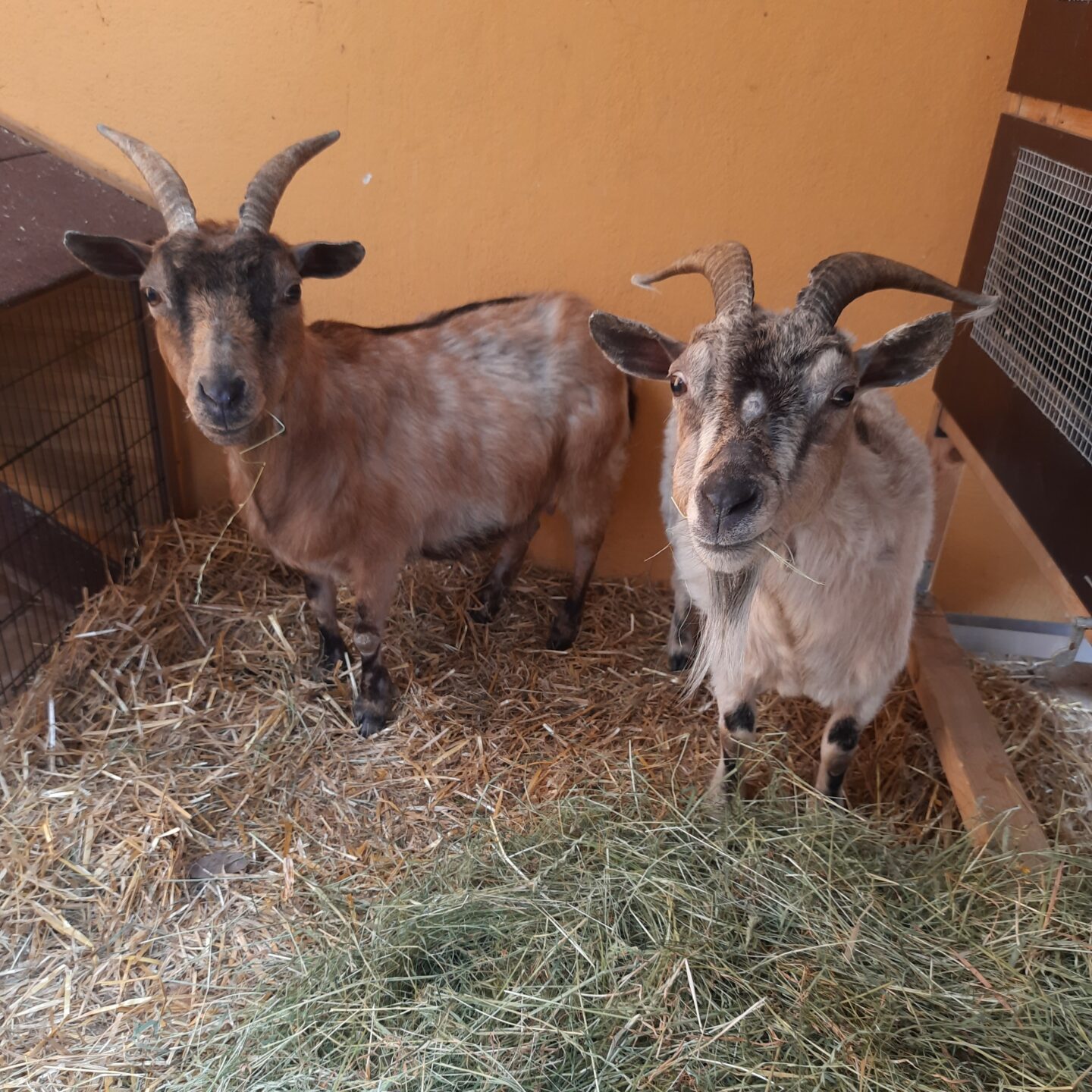 Zensi & Marie