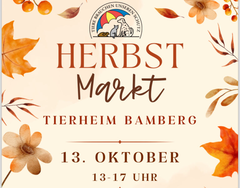 Herbstmarkt am 13.10.2024 von 13-17 Uhr