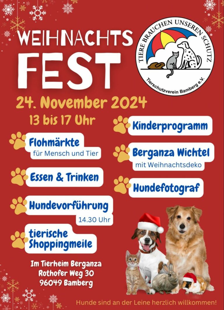 Weihnachtsmarkt am 24.11.2024 von 13-17 Uhr