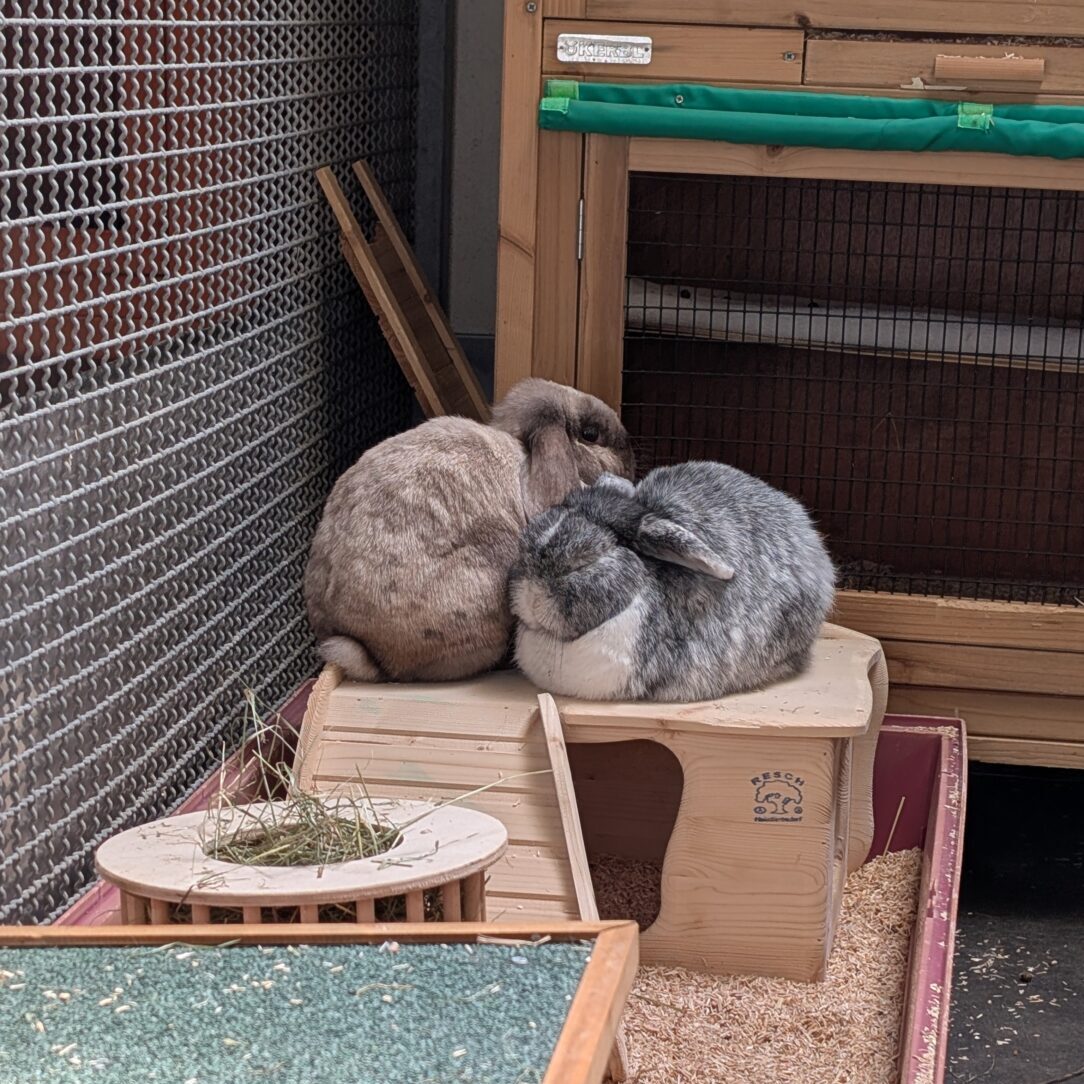 Pünktchen + Lina