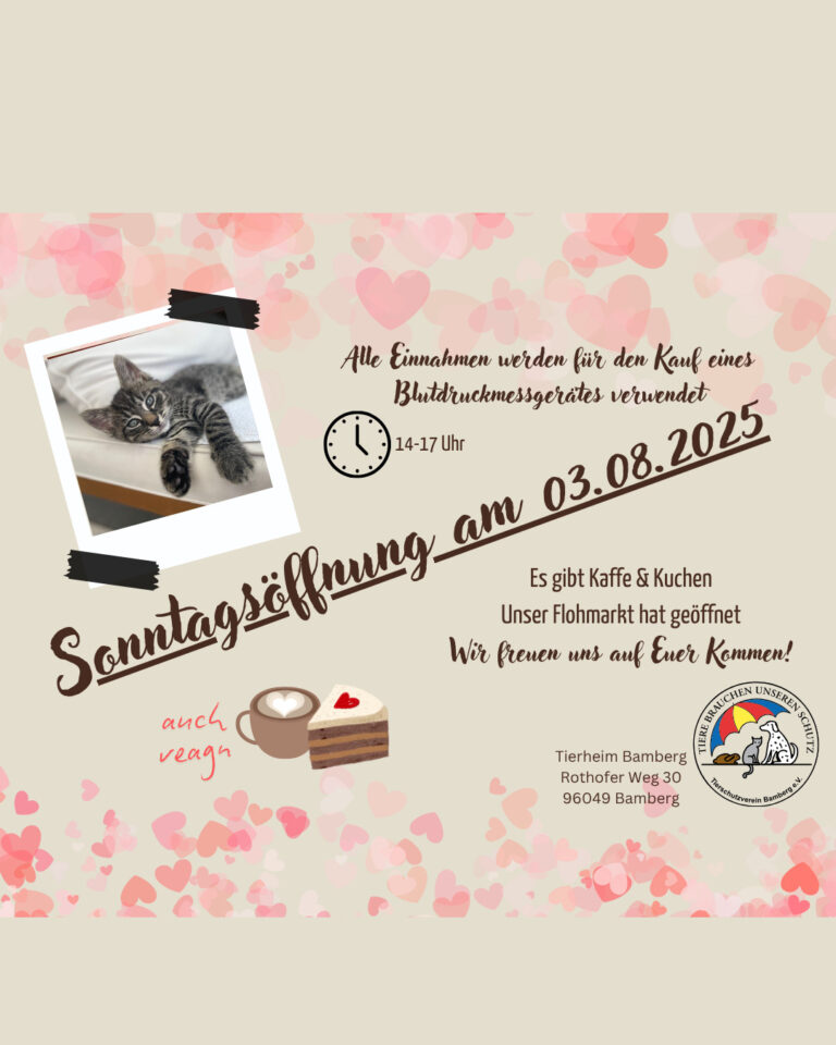 Sonntagsöffnung am 03.08.2025