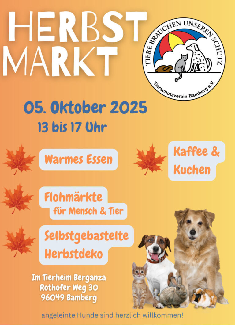 Herbstmarkt am 05.10.2025