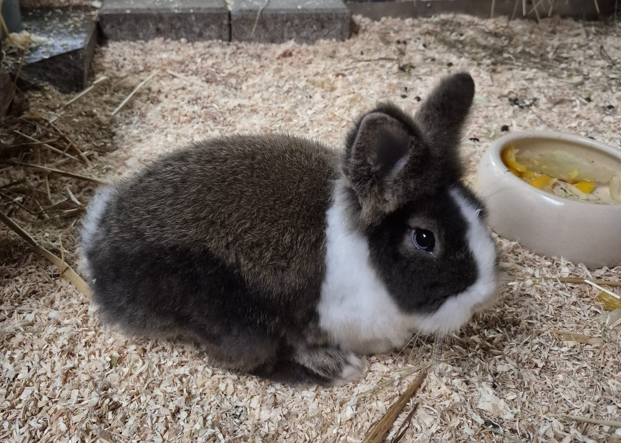 Ralf