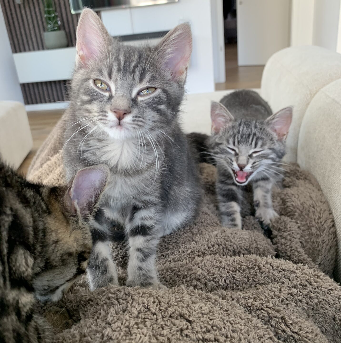 Soufflé und Karamell