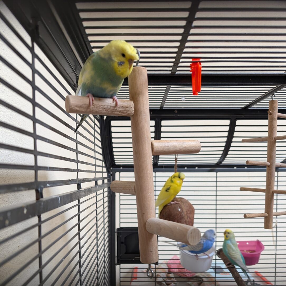 Serpentin+Lapis, Bumble+Peridot